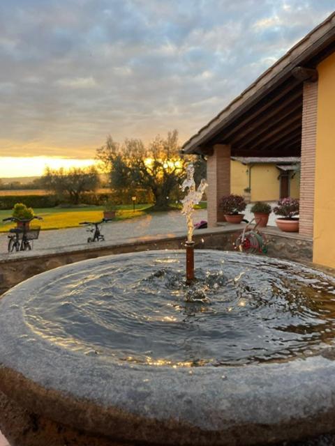 Agriturismo Arlena Больсена Экстерьер фото